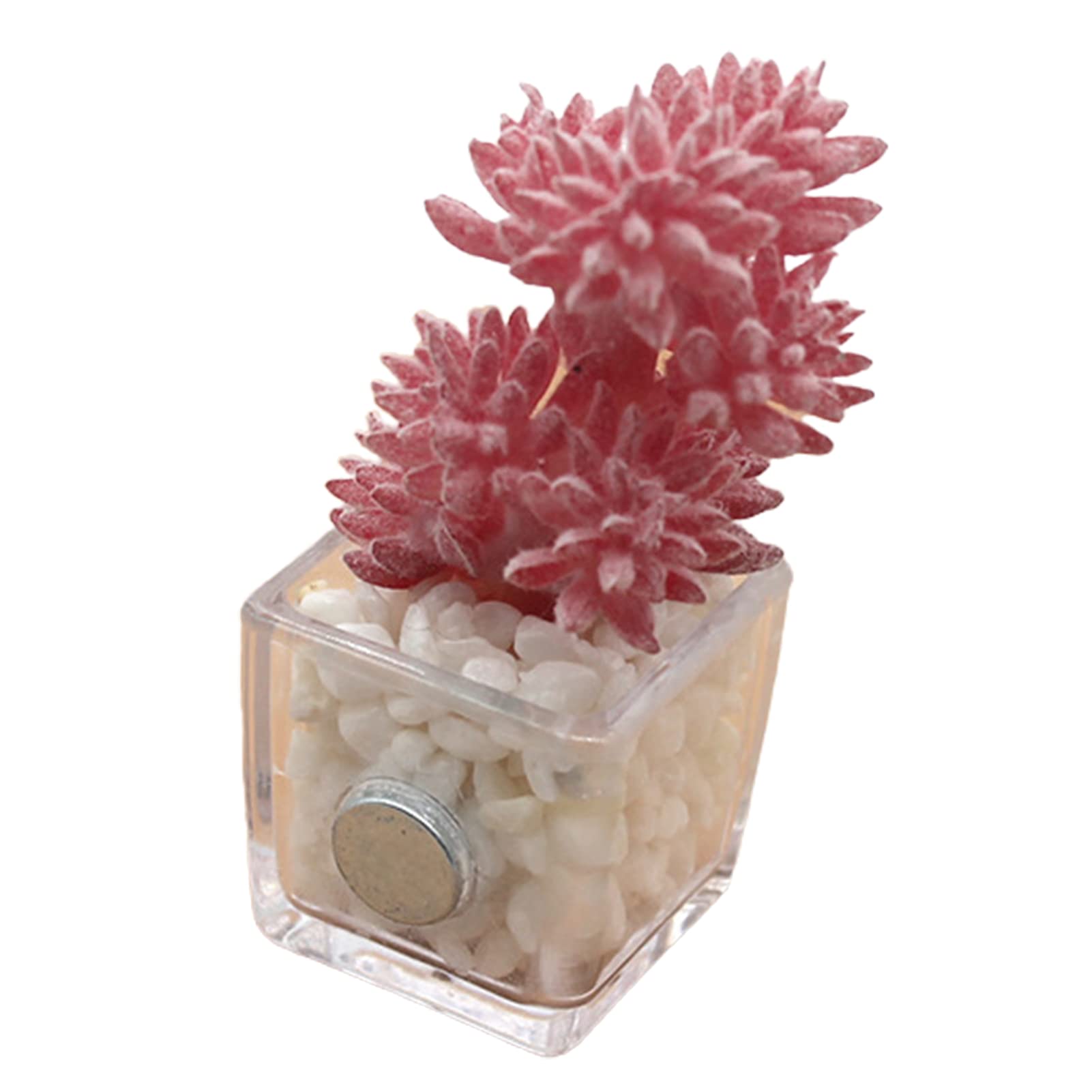 Artificial Succulent Plant Refrigerator Magnet - Mini Desktop Decor for Kitchen, Office & Shelves | Tiny Simulation Plants for Home & Workspace Decorations