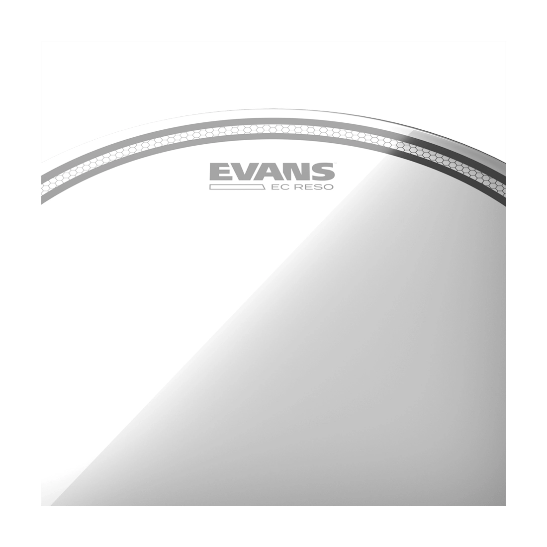 Evans 13
