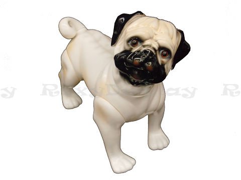 MD-DOG04 ROXY DISPLAY® Realistic Small Dog Mannequin - Cute White Pug Plastic Display Model for Pet Store, Photography & Window Decoration