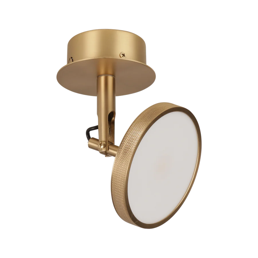 Asteria Spot Ceiling or Wall Light - Modern LED Recessed Lighting Fixture for Home, Office, and Commercial Spaces