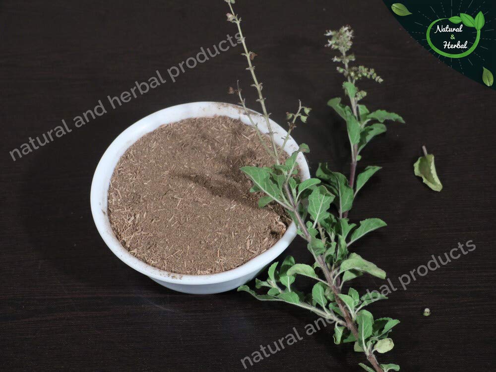 Organic Tulsi Powder (Holy Basil) - 100Gm | Natural Ayurvedic Herbal Supplement for Tea, Diabetes, Skin Care (Face Mask & Brightening), Hair Growth & Immunity Booster | Perfect for Detox, Stress Relief & Daily Wellness Rituals