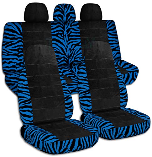 Blue Zebra & Black