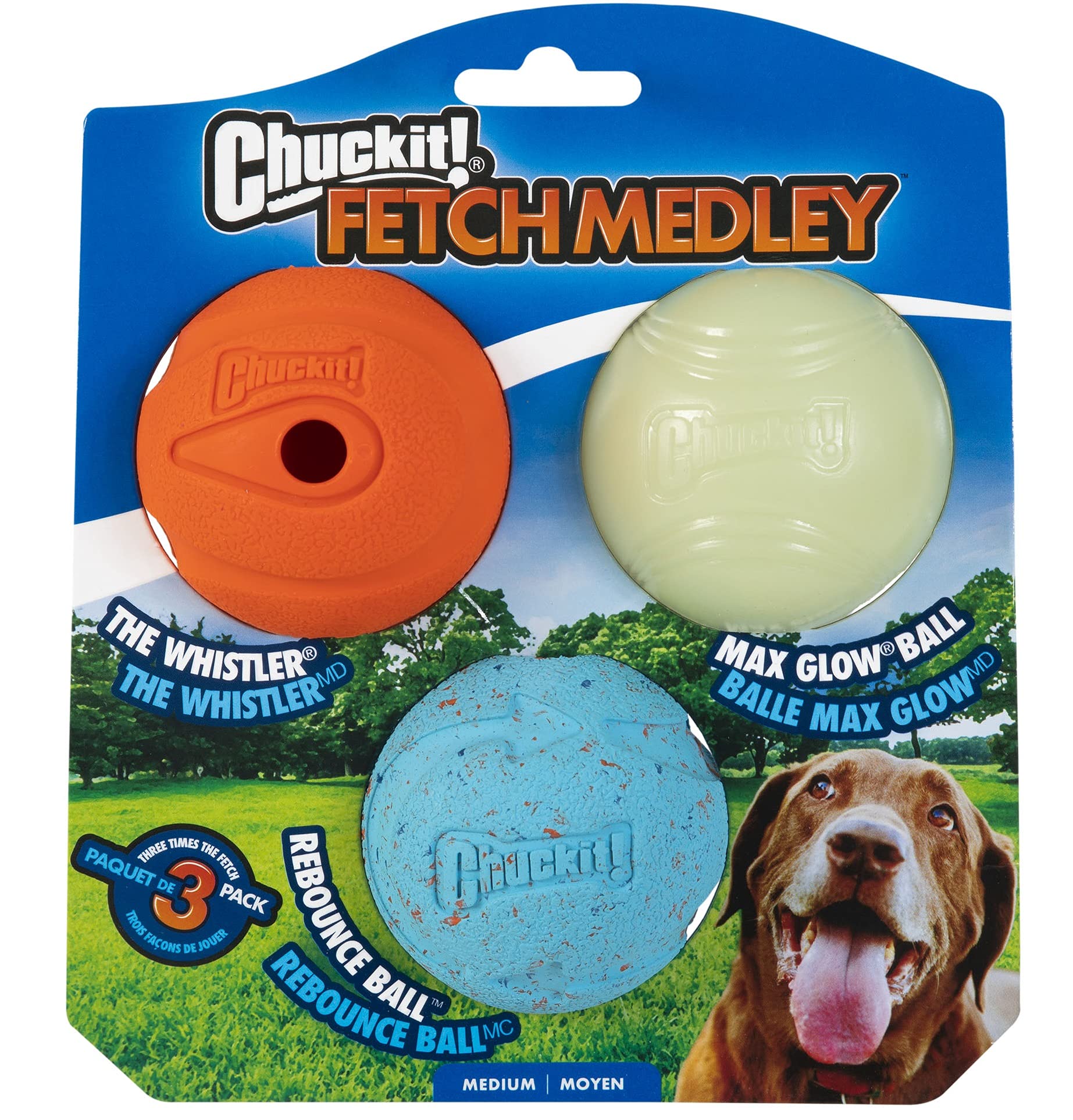 Chuckit! Fetch Medley Ball Set - Durable Dog Toys for Outdoor Play, Training & Exercise - Perfect for Beach, Park & Backyard Fun with Your Pet