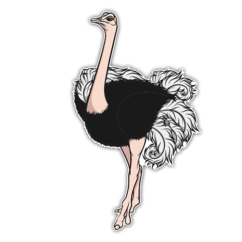 5 Inch Ostrich Vinyl Sticker - Waterproof Decal for Car, Laptop, iPad - Perfect for Personalizing Devices, Water Bottles & Notebooks