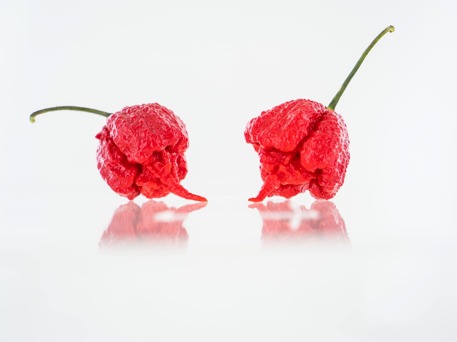Pepper Joe’s Carolina Reaper Seeds – 10+ World’s Hottest Chili Pepper Seeds for Planting – Non-GMO, USA Grown – Perfect for Home Gardening, Hot Sauce Making & Spicy Food Lovers