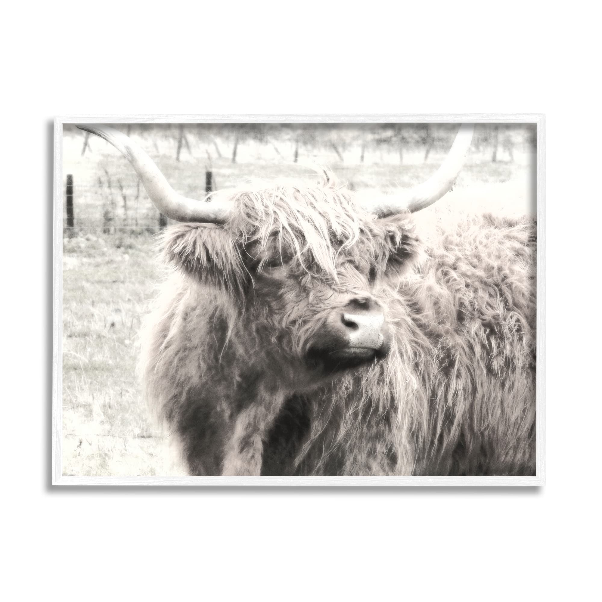 Stupell Industries Rustic Farm Highland Cattle Cow Black & White Wall Art - Monochrome Photography Print by Graffitee Studios - Perfect for Farmhouse, Country Kitchen & Western Home Decor