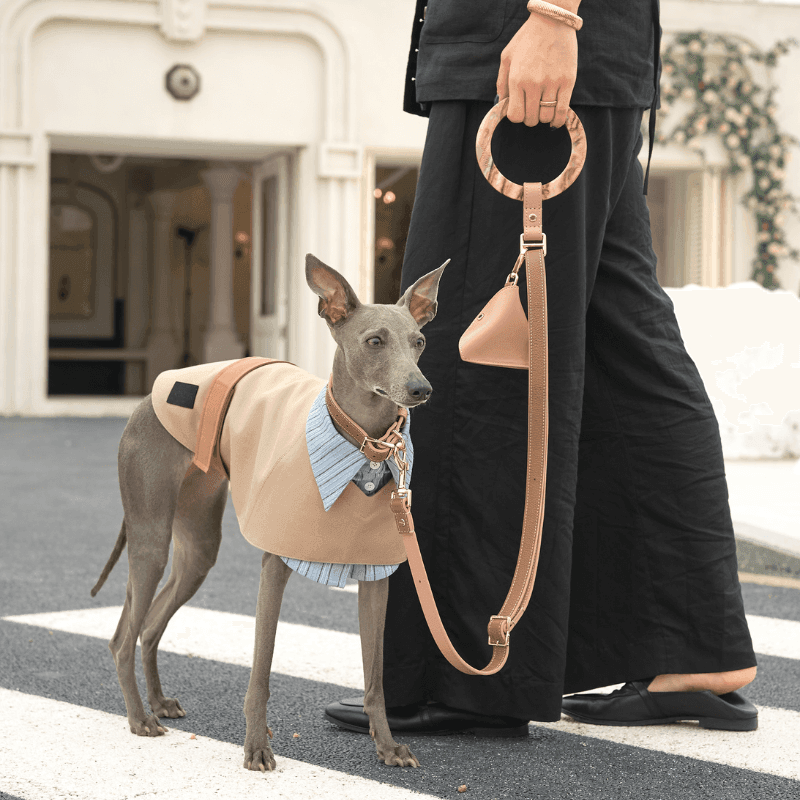 Premium Blushwood Leather Dog Leash - Durable & Stylish Pet Walking Accessory for Small Medium Large Dogs - Perfect for Daily Walks, Training & Outdoor Adventures