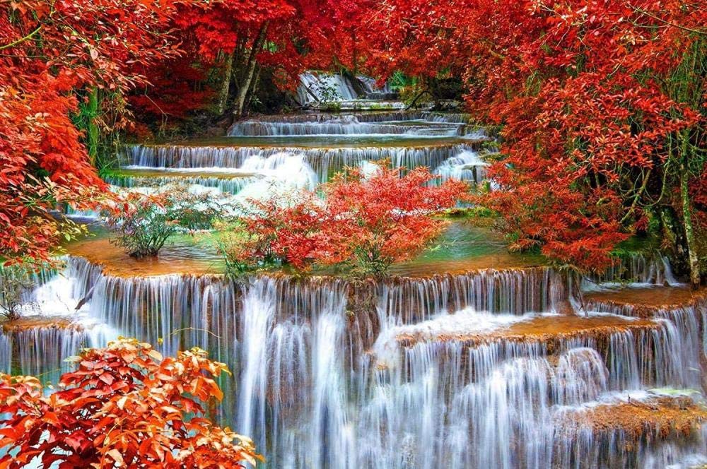 1000 Piece Wooden Jigsaw Puzzle for Adults - Waterfall & Red Trees Landscape, Challenging Puzzle Game for Teens & Adults - Perfect for Relaxation, Family Bonding & Home Decor