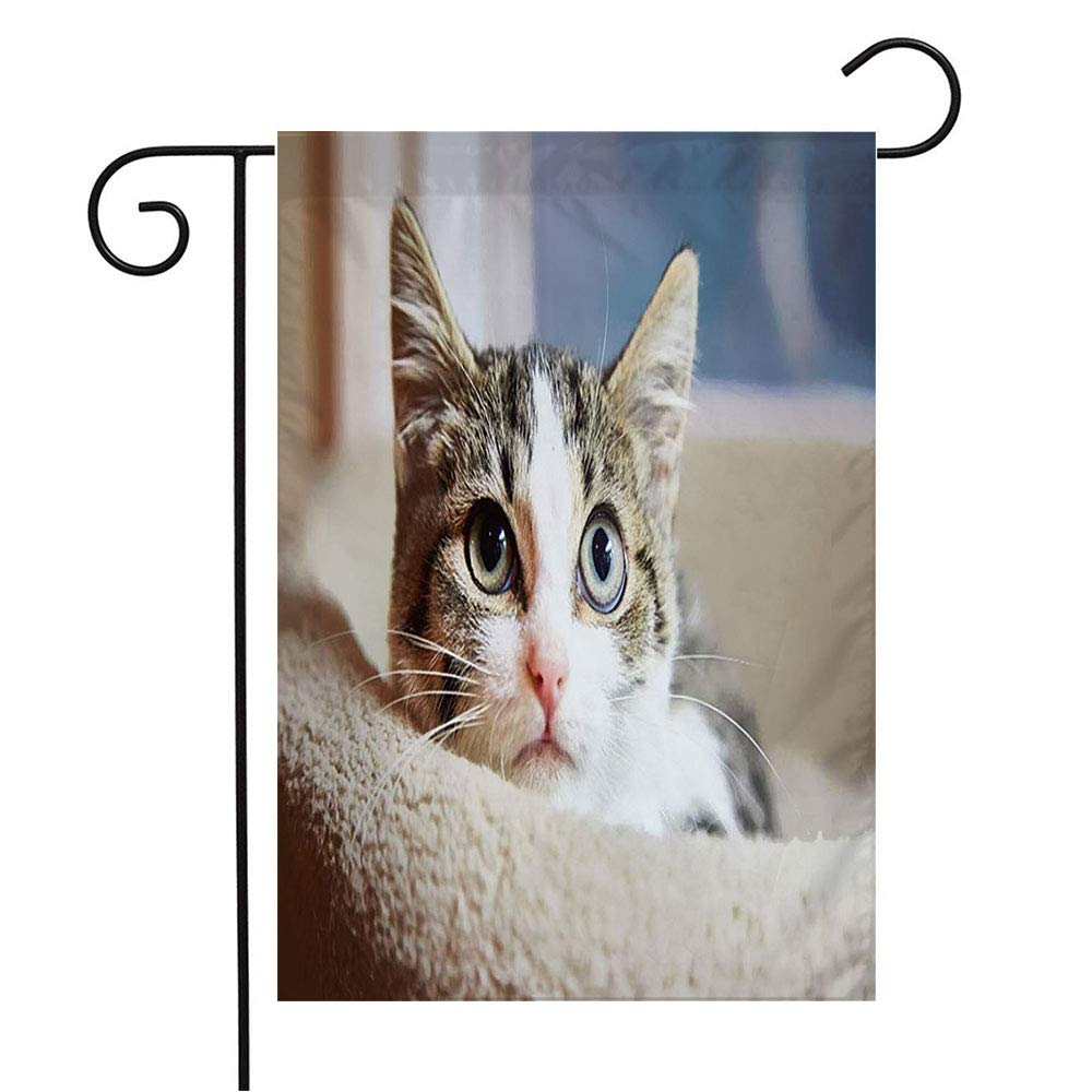 Adorable Brown & White Tabby Kitten Garden Flag - 12x18 Inch Cute Cat Decor for Patio, Lawn & Outdoor Home - Perfect for Animal Lovers, Pet Adoption Awareness & Seasonal Yard Decorations - Ideal Gift for Cat Owners & Wildlife Enthusiasts