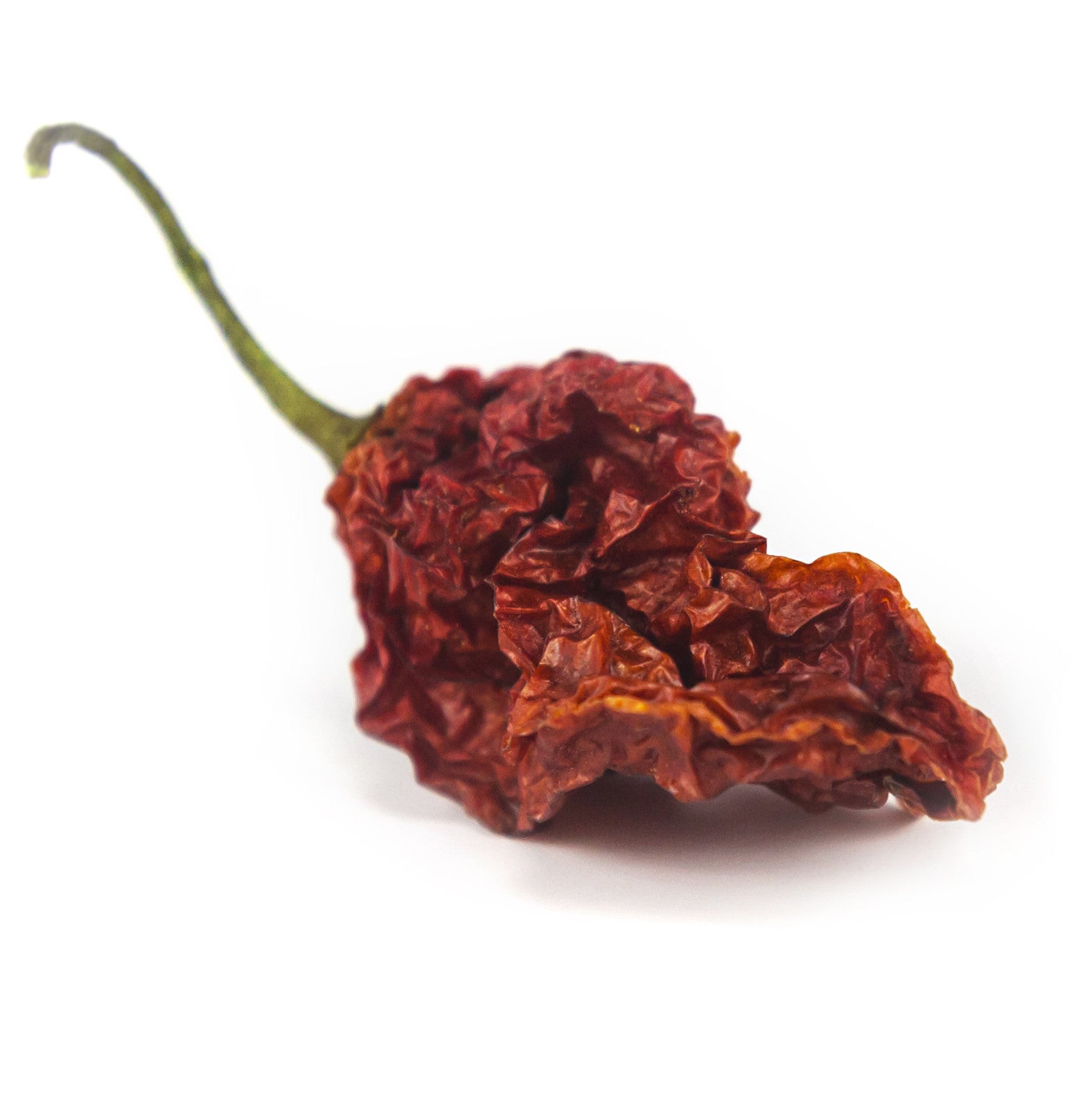 Ghost Peppers - World's Hottest Chili Peppers for Cooking, Sauces & Spicy Challenges | Perfect for Hot Sauce Making, BBQ Rubs & Extreme Heat Lovers