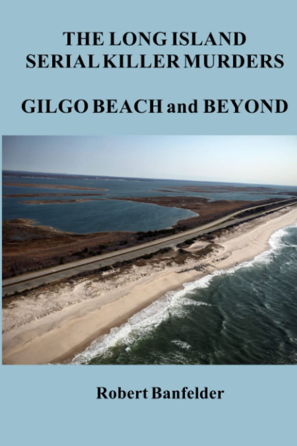 The Long Island Serial Killer Murders: Gilgo Beach True Crime Case - Cold Case Investigation & Unsolved Mysteries (True Crime Books, Documentaries & Podcasts)