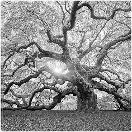 The Tree Square-BW 2