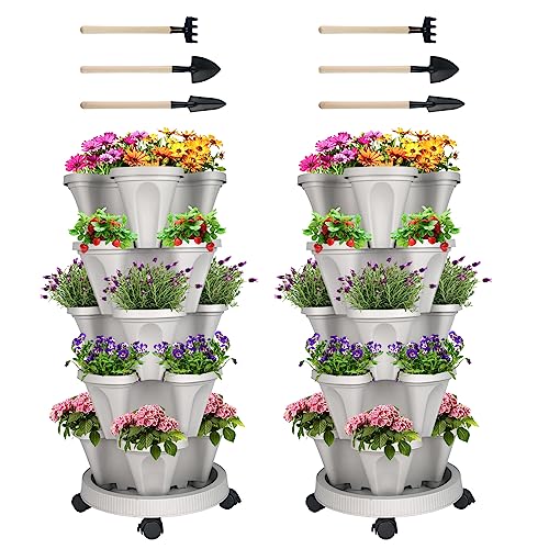 Agreeable Gray-2pack