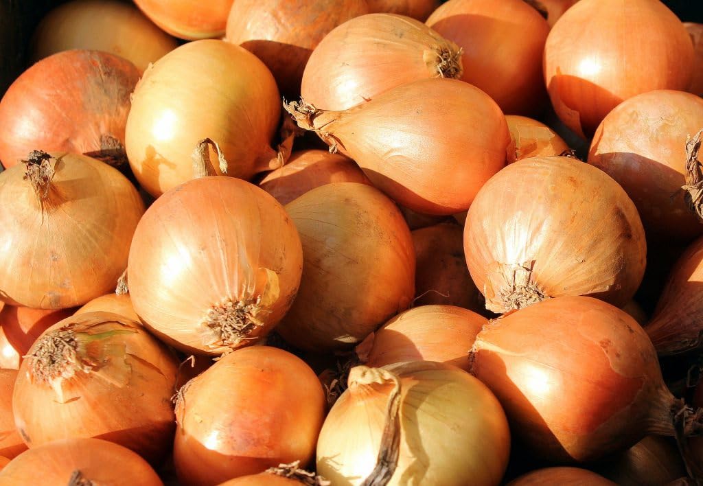 Fresh Yellow Onions - USA Grown, Non-GMO, Bulk 10lb Bag | Perfect for Cooking, Salads & Meal Prep | High-Quality Fresh Produce for Restaurants & Home Chefs