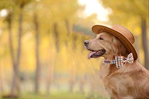 Elegant Adjustable Dog Collar with Bow Tie - Comfortable Pet Collar for Small, Medium, Large Dogs & Cats - Perfect for Weddings, Parties & Special Occasions