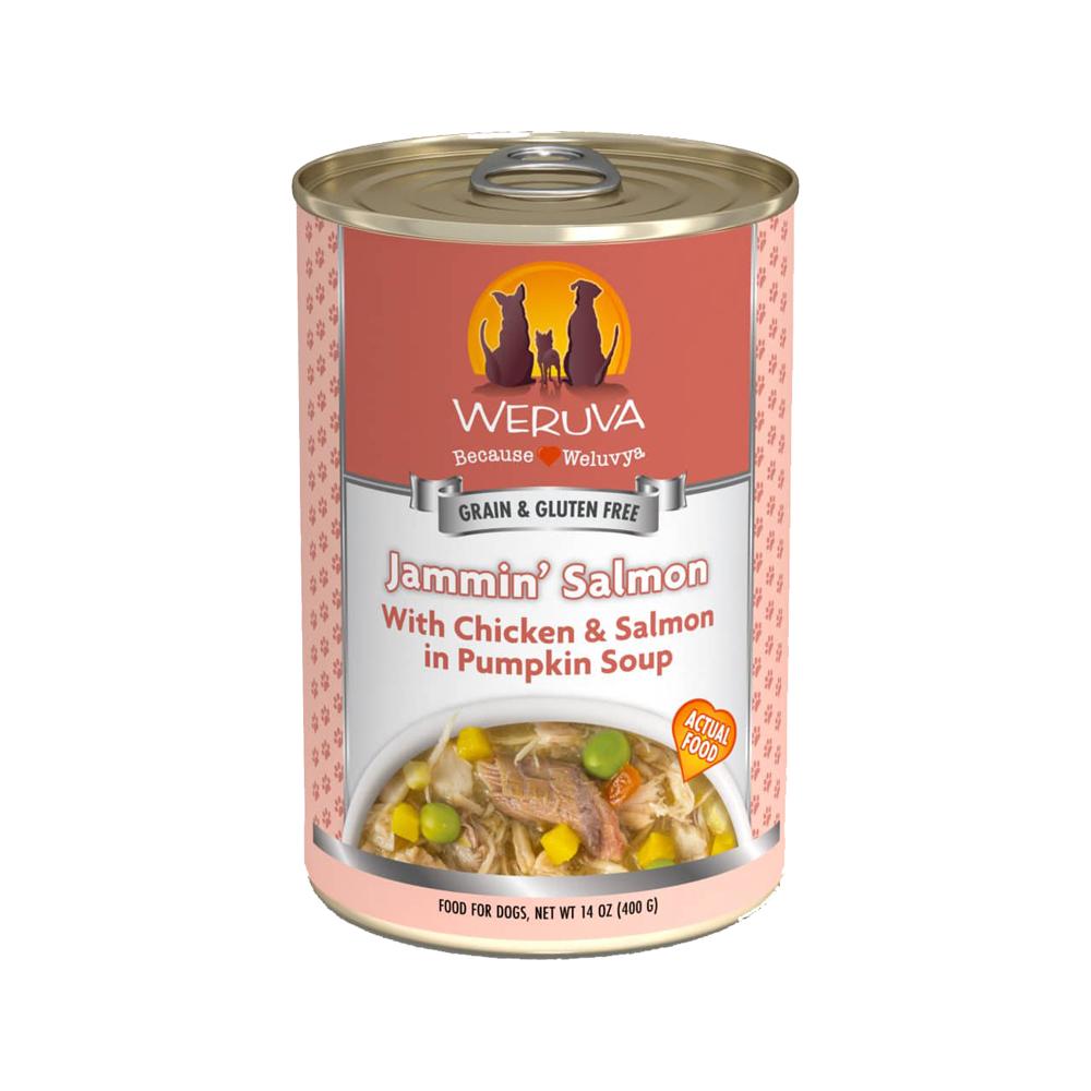 Premium Jammin' Salmon Chicken & Salmon in Pumpkin Soup Dog Food - Grain-Free, High-Protein Wet Canned Food for Dogs - Perfect for Sensitive Stomachs & Picky Eaters - Great for Mealtime, Training Treats & Senior Dogs