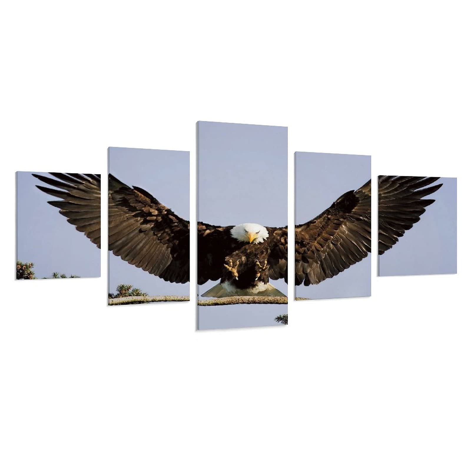 Eagle Canvas Wall Art - Modern Animal Poster Painting for Living Room Decor - Set of 5 (10x15inch x2, 10x20inch x2, 10x25inch) - Nature-Inspired Home Office & Bedroom Wall Decor