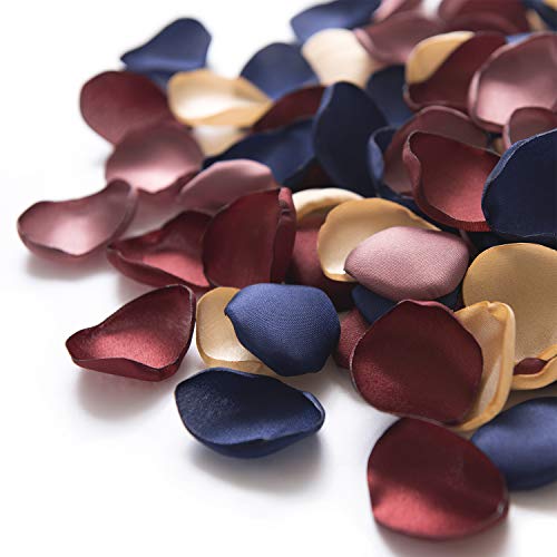 Bur-burgundy & Navy Gold