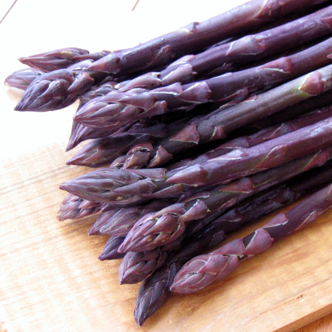 Purple Passion Asparagus Plants - 100 Bare Root Crowns for Planting | Fresh Garden-Grown Asparagus Roots | Perfect for Home Gardens, Landscaping & Organic Farming
