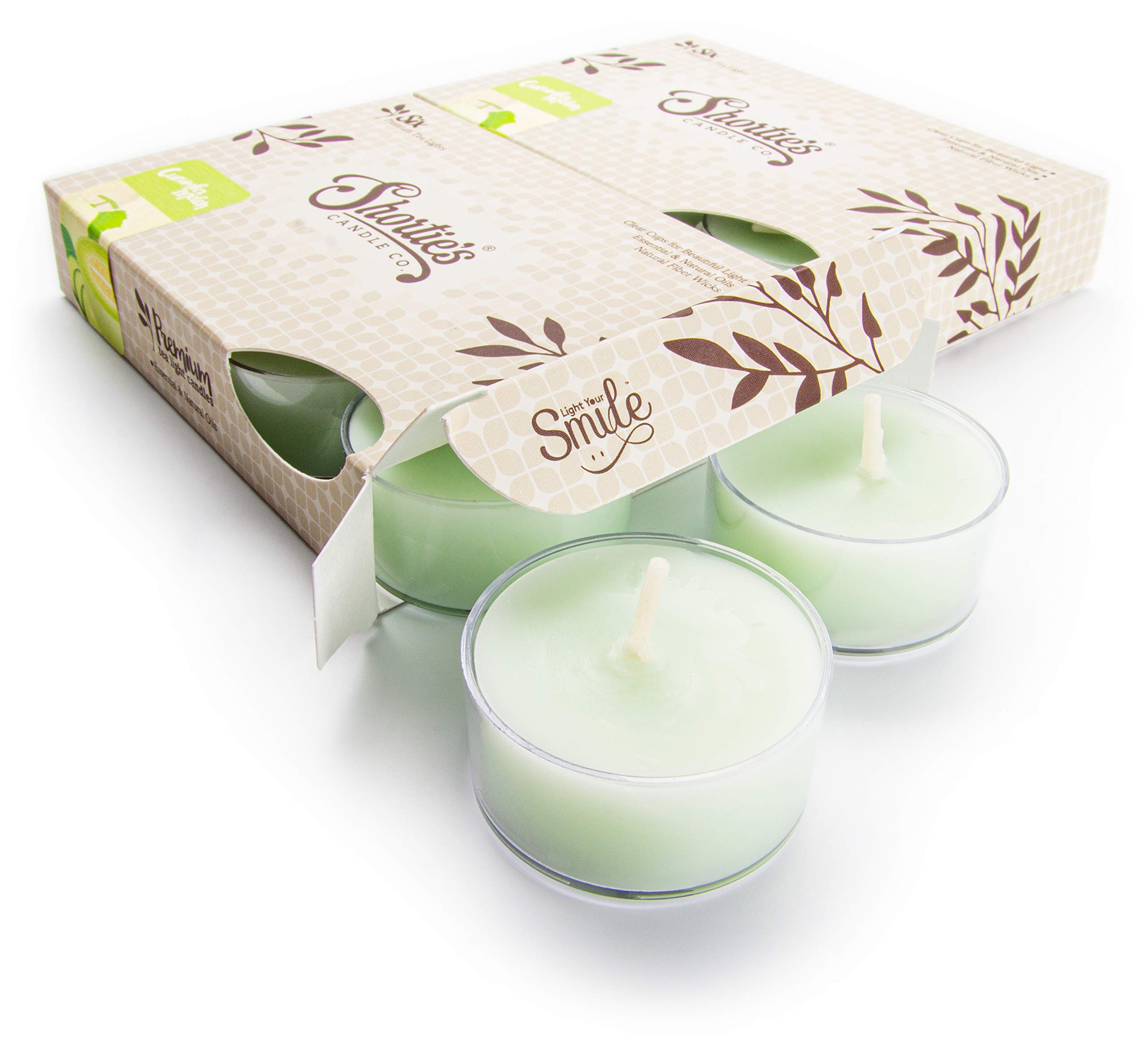 Premium Cucumber Melon Scented Tealight Candles - 12 Pack Green Highly Fragrant Tea Lights - Made in USA - Fresh & Clean Collection - Perfect for Relaxation, Spa, Yoga & Home Decor