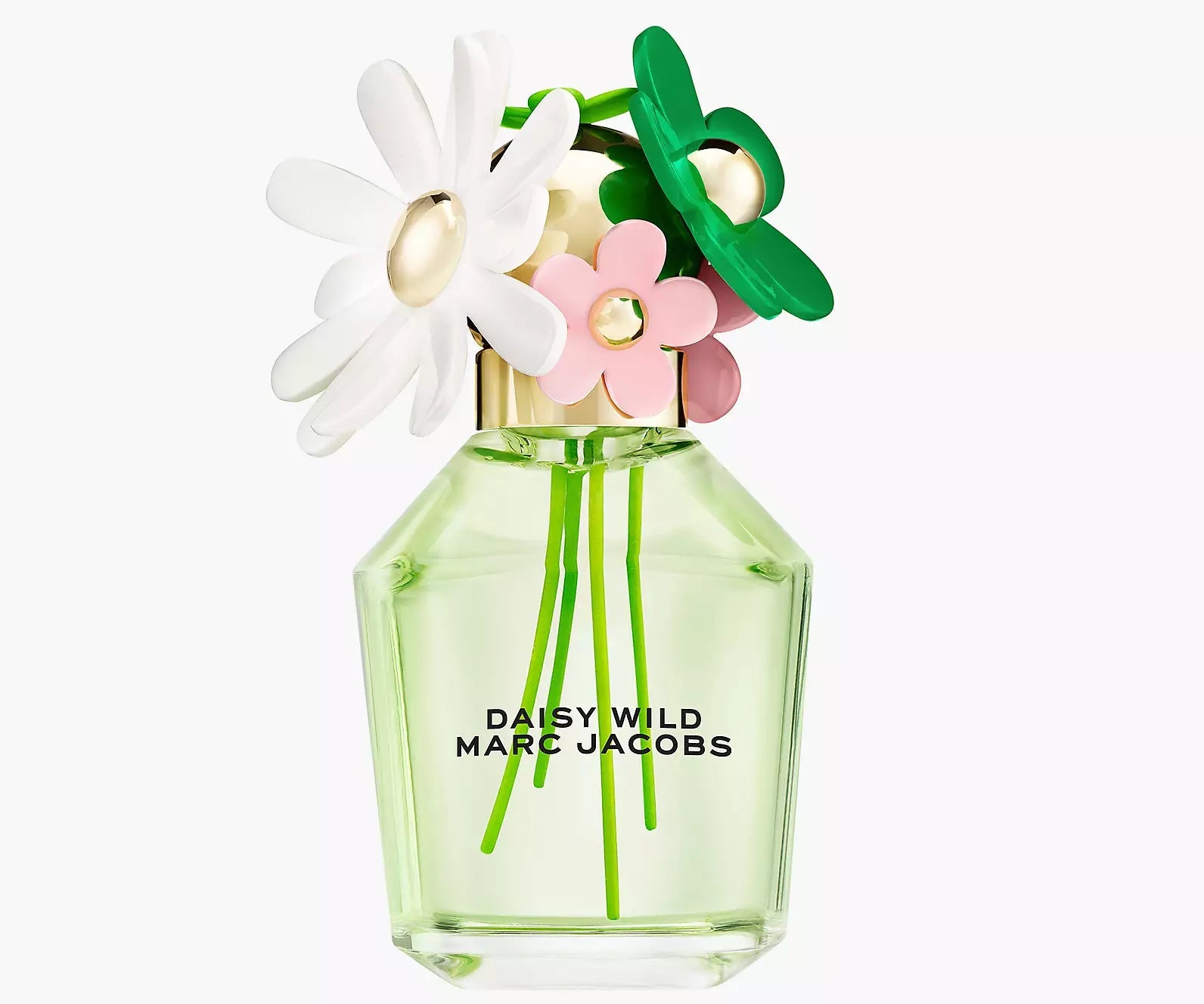 Daisy Wild Perfume for Women - Floral Fresh Fragrance Eau de Toilette | Perfect for Daily Wear, Date Night & Special Occasions