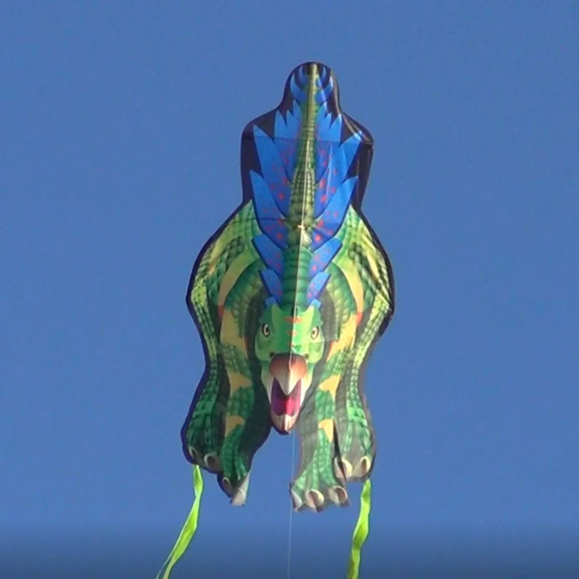 Stegosaurus Dinosaur Kite for Kids - Large Flying Dinosaur Kite with Long Tail - Perfect for Beach, Park & Outdoor Family Activities