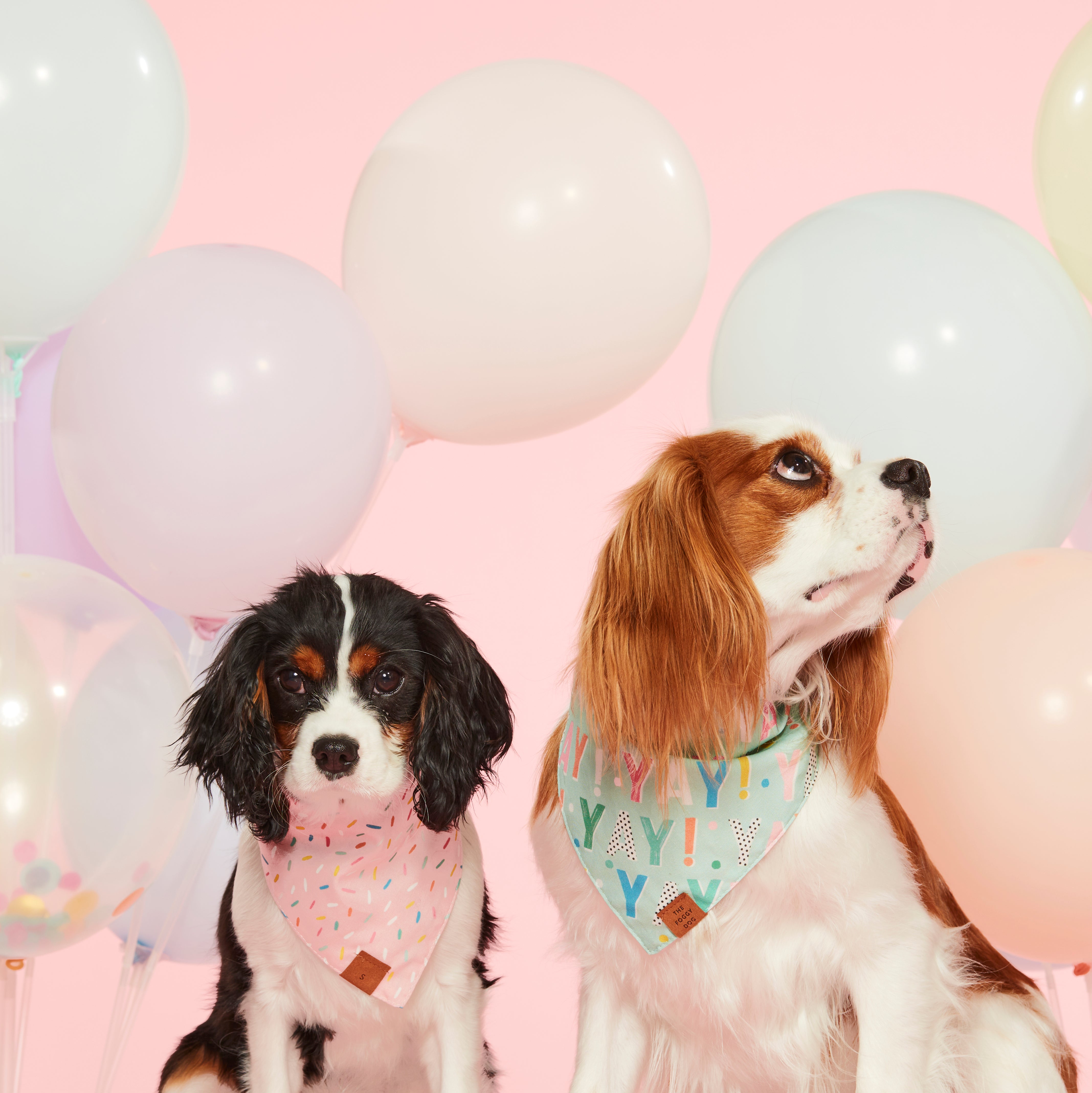 Foggy Dog Yay! Birthday Bandana Pink - Cute Pet Bandana for Dogs, Birthday Party Accessory, Fun Celebration Outfit for Puppies