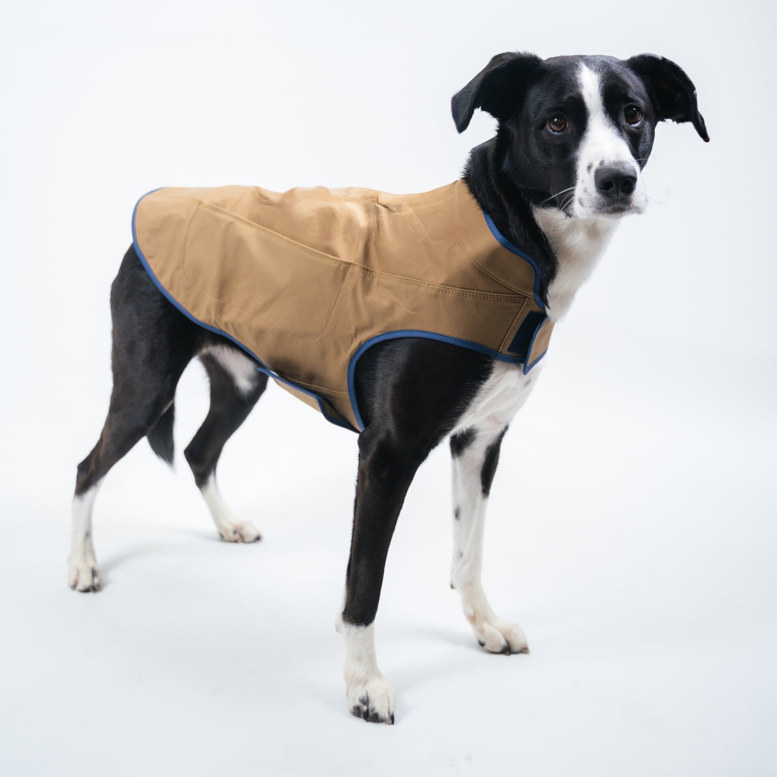 Original Camber Dog Vest - Adjustable & Reflective Pet Harness for Small to Large Dogs - Perfect for Walking, Hiking & Outdoor Adventures