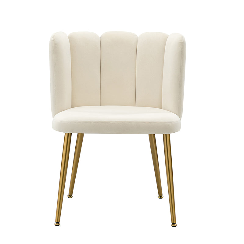 Elodia Side Chair - Modern Accent Chair for Dining Room, Living Room & Office - Sturdy Wooden Frame with Upholstered Seat - Perfect for Home Decor & Small Spaces