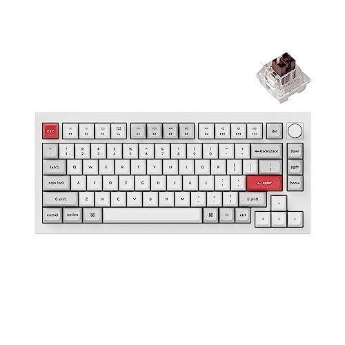 Hot-swap Keychron K Pro Brown Switch