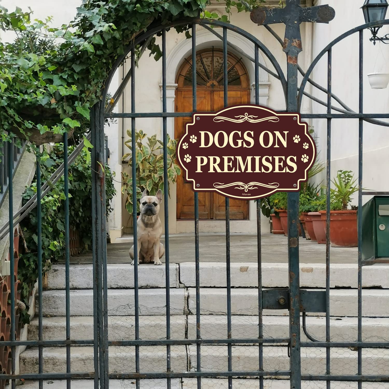 Beware of Dog Sign - 10