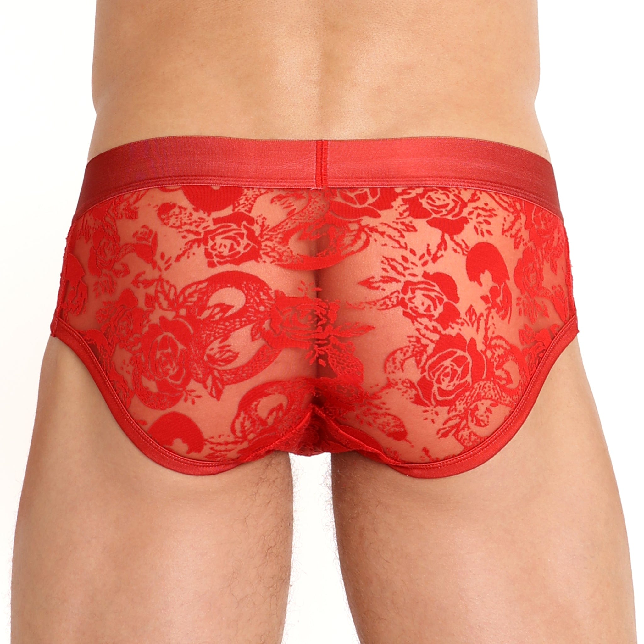 Snake Rose Burnout Brief Red - Sexy Lingerie for Women, Comfortable & Stylish Underwear - Perfect for Date Night, Boudoir Photography & Special Occasions