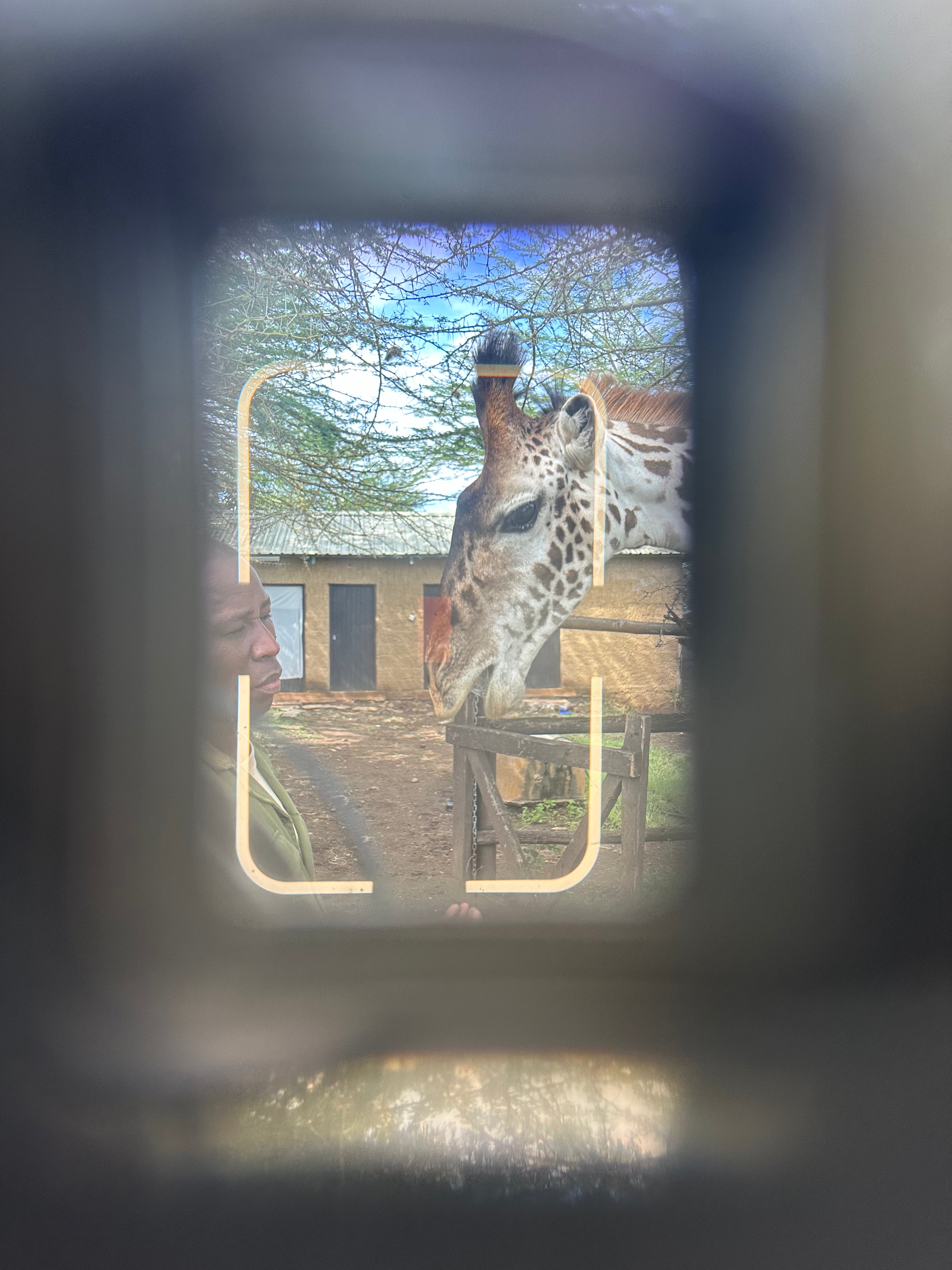 Kenya Wildlife Photo Safari & Conservation Tour - Jan 5-13, 2026 | African Adventure Photography Expedition for Nature Lovers
