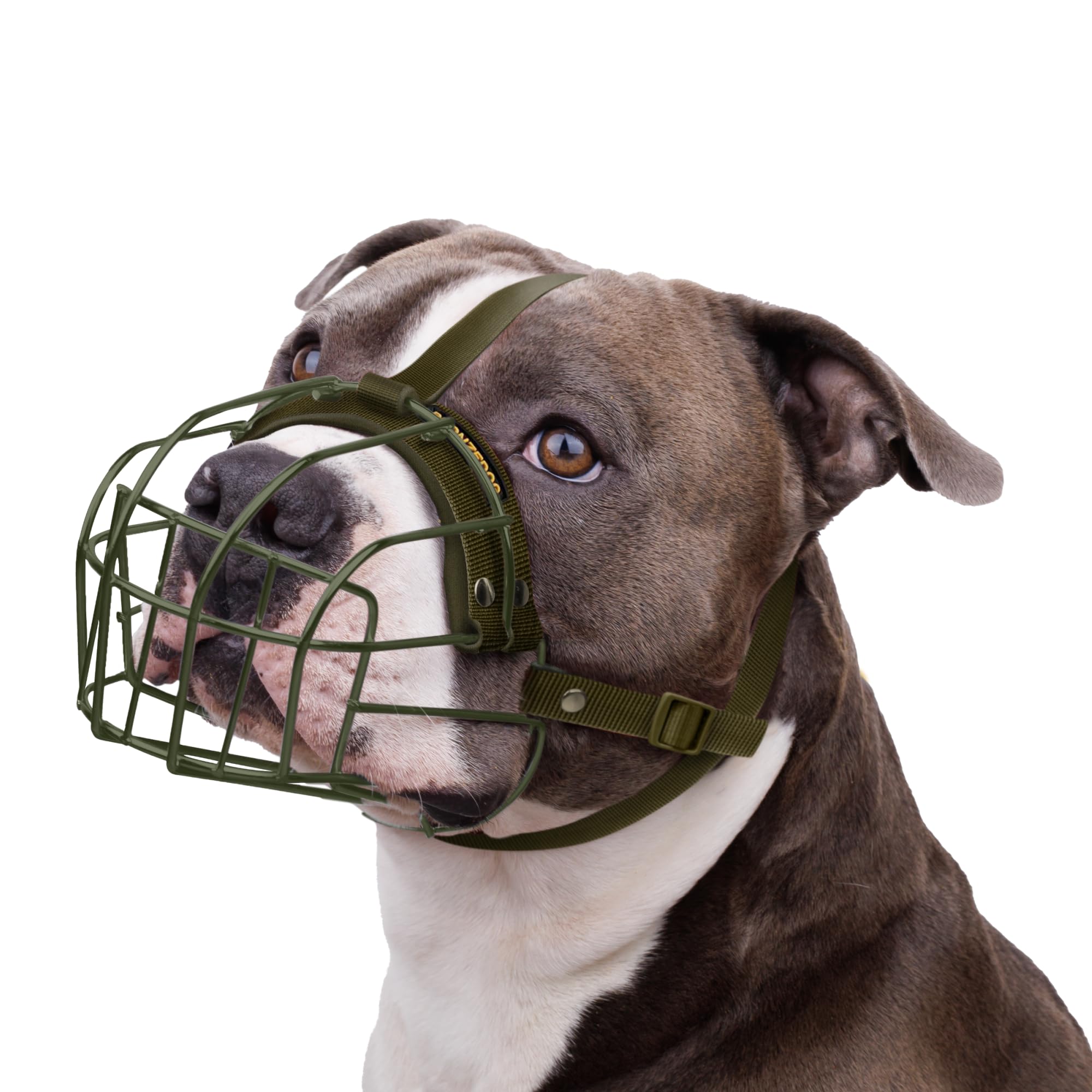 BRONZEDOG Breathable Metal Basket Dog Muzzle for Large Dogs - Pitbull, Amstaff, Staffordshire Terrier - Anti-Biting, Chewing & Barking - Military Green Nylon - Perfect for Training, Walks & Vet Visits