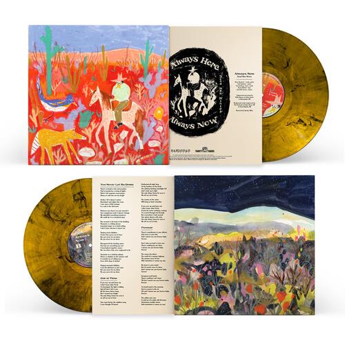 Always Here / Always Now Vinyl LP - Limited Edition Music Record for Collectors & Audiophiles - Perfect for Home Listening & Gifting