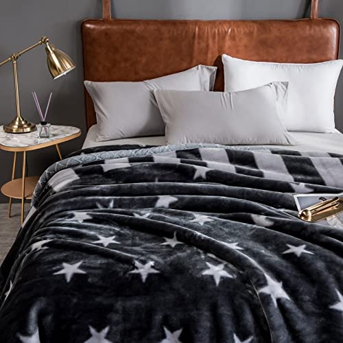 Premium Korean Mink Blanket - Heavyweight 8 lbs Fleece Blanket Queen Size (80x90 inches) - 2 Ply Ultra Soft Plush Raschel Bedding for Winter Warmth - Perfect for Home, Bedroom, Sofa & Cozy Gift Giving
