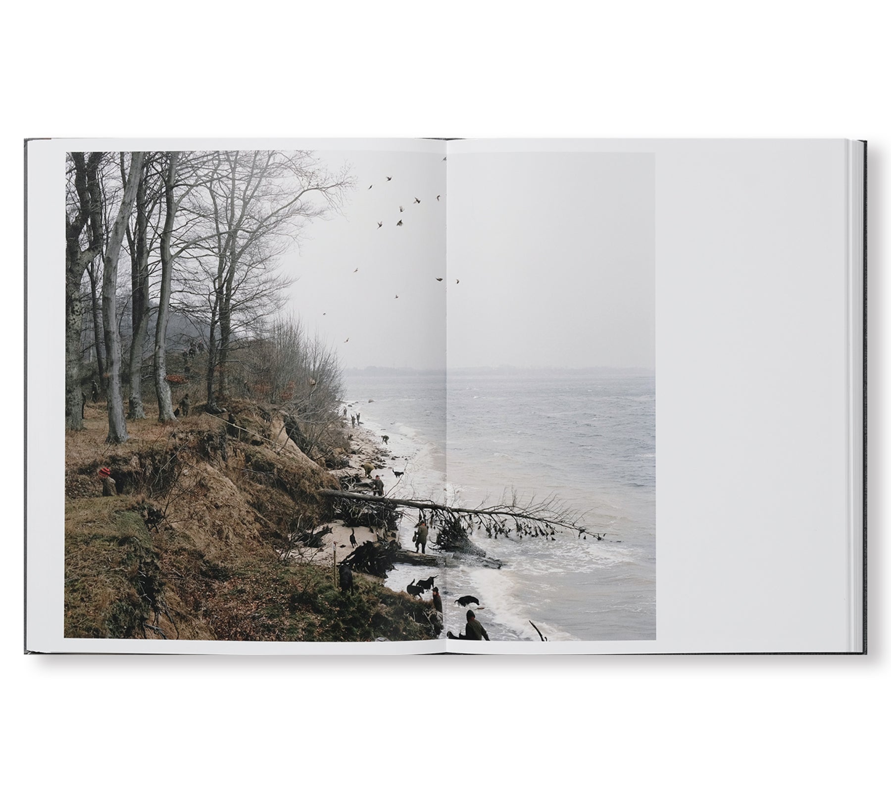 203 WORKS by Trine Søndergaard - Contemporary Art Photography for Home & Office Decor | Perfect for Living Rooms, Galleries, and Creative Spaces