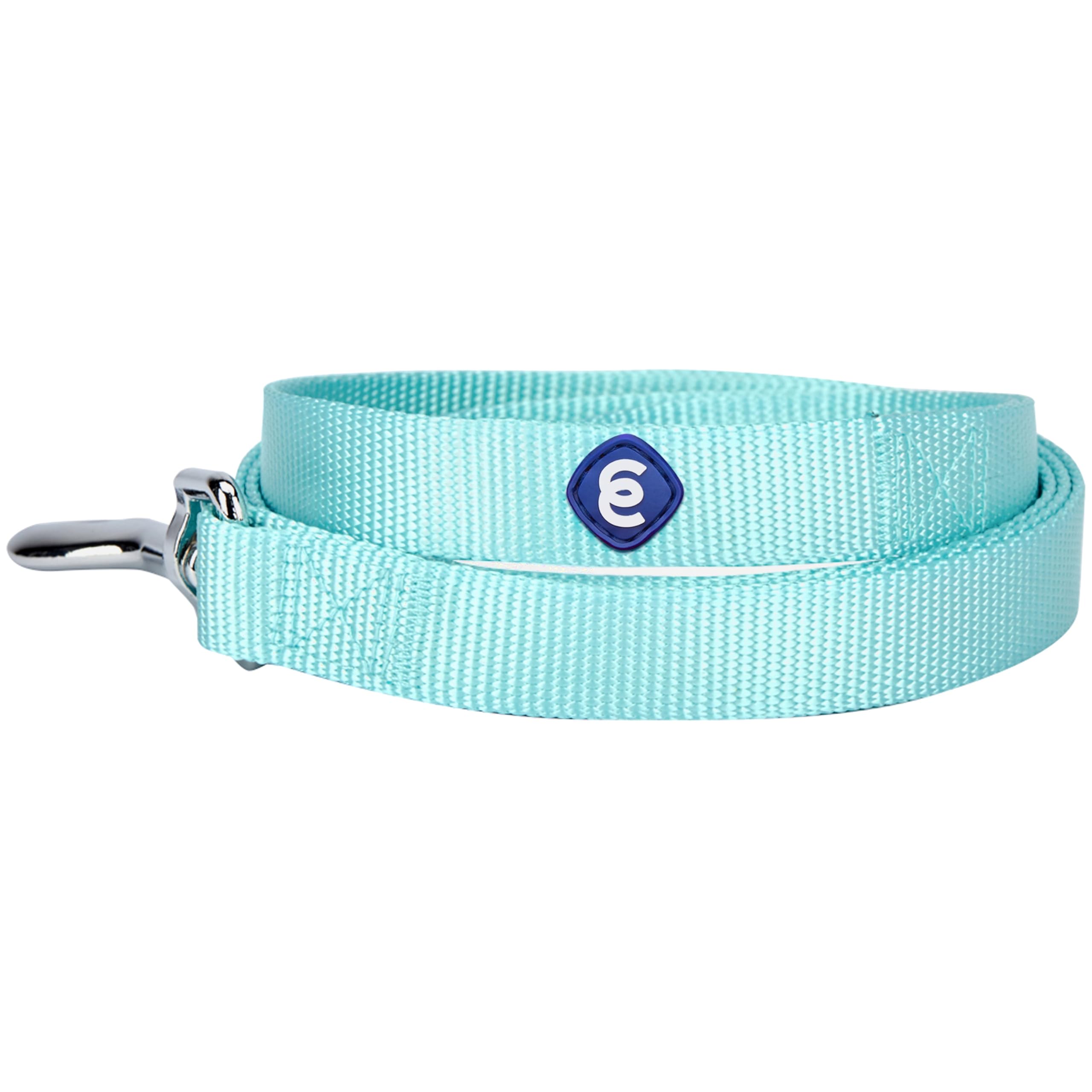 Durable Nylon Dog Leash for Large Dogs - 4ft x 1