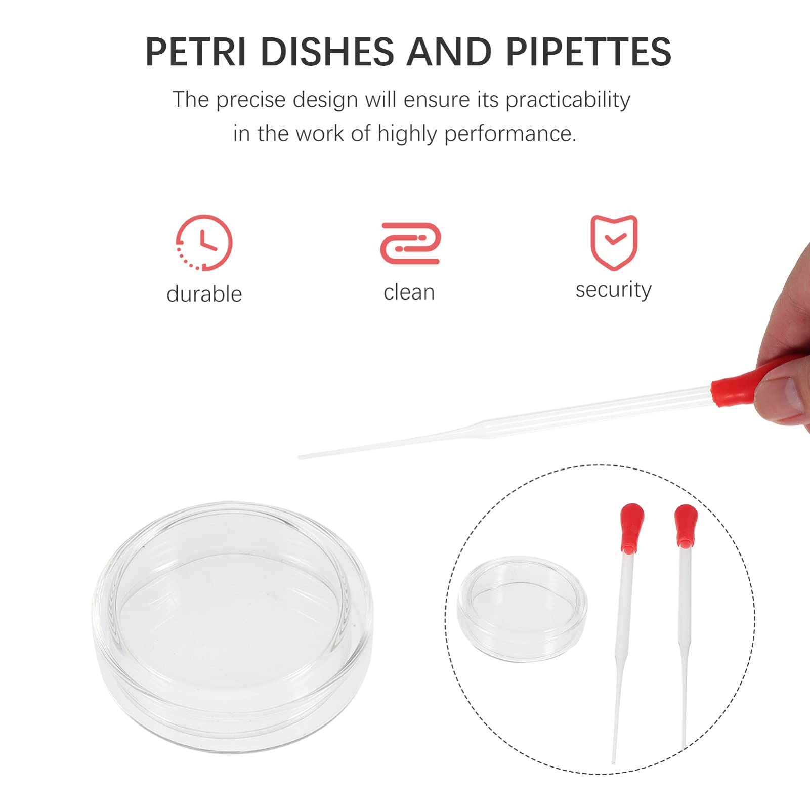 6pcs Petri Dish Set with Pipette for Lab Culture & Experiments
