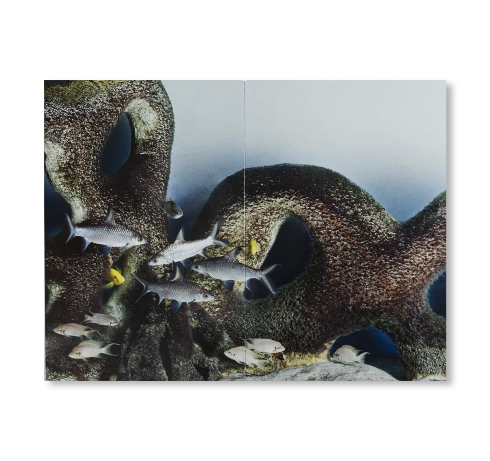 Appetite for the Magnificent by Tania Willen, David Willen & Jörg Scheller | Art Book | Luxury Lifestyle Inspiration | Perfect for Coffee Tables & Art Collectors