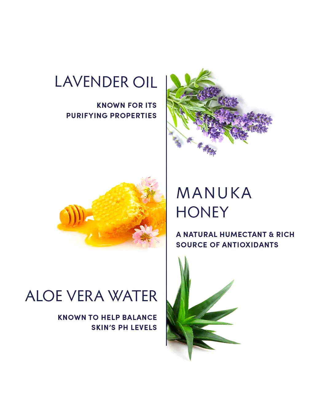 Naturopathica Lavender & Manuka Honey Balancing Face Mist - Hydrating Facial Spray for Dry & Sensitive Skin | Perfect for Travel, Office & Post-Workout Refreshment