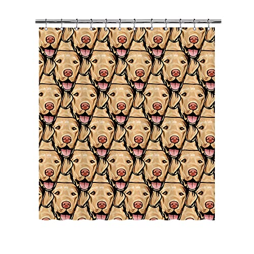 Chesapeake Bay Retriever