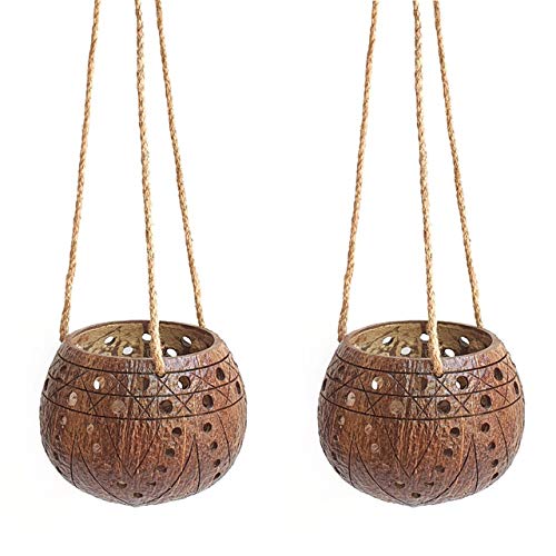 Handcarved Rainforest Coconut Bowls Set of 2 - Hanging Planters with Drainage Holes for Succulents, Flowers & Small Plants - Eco-Friendly Indoor/Outdoor Garden Decor - Perfect for Balconies, Patios & Home Décor