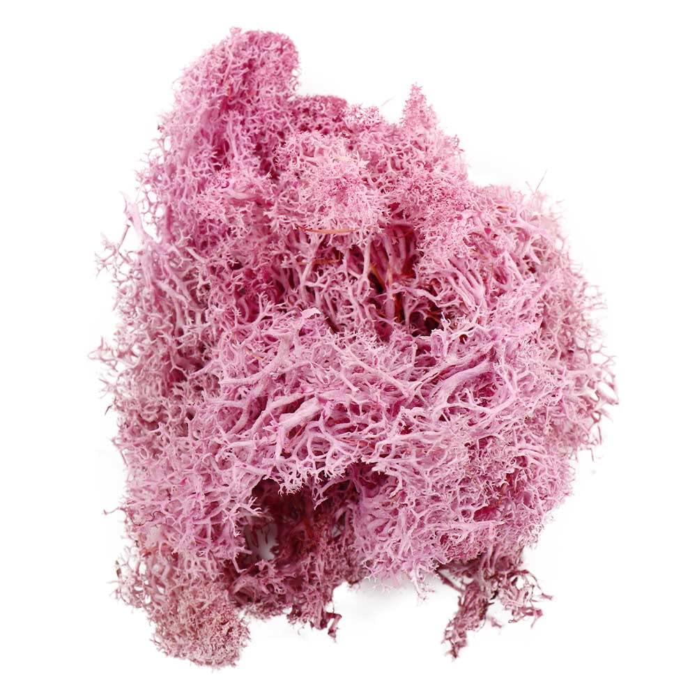 20g Artificial Moss Decorative Moss for Potted Plants - Fake Green Moss for Fairy Gardens, Floral Arrangements & DIY Crafts - Realistic Purple Moss for Home Decor, Terrariums & Wedding Centerpieces