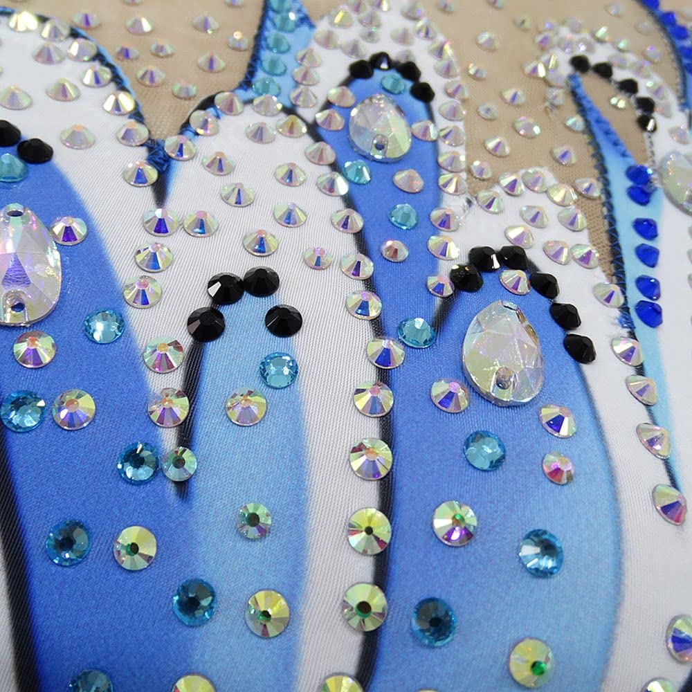 LIUHUO Girls Synchronized Swimming Suits - Women's Competitive Dance Leotards - Handmade Performance Swimwear for Water Ballet & Team Routines