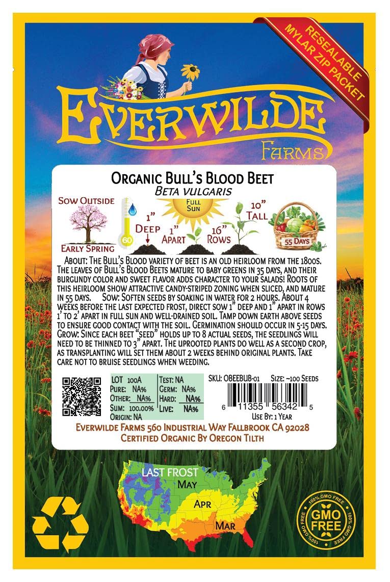 Organic Bull's Blood Beet Seeds - Gold Vault Packet for Home Gardening
