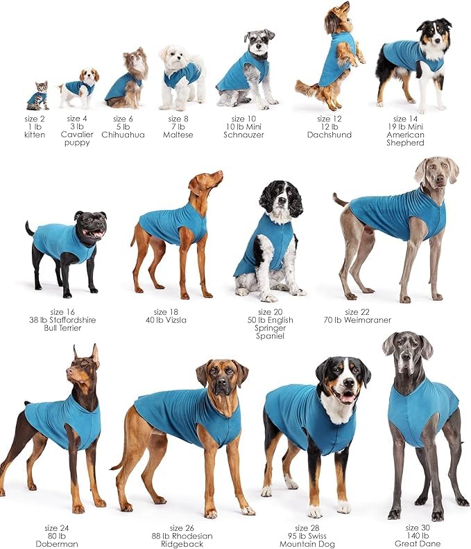 Sun Shield UV Protection Dog T-Shirt – Breathable Canine Tee for Anxiety Relief & Wound Care – Prevents Foxtails & Helps Alopecia – Machine Washable All-Season Pet Shirt – Size 26 Ocean Blue – Perfect for Outdoor Walks, Vet Visits & Post-Surgery Recovery