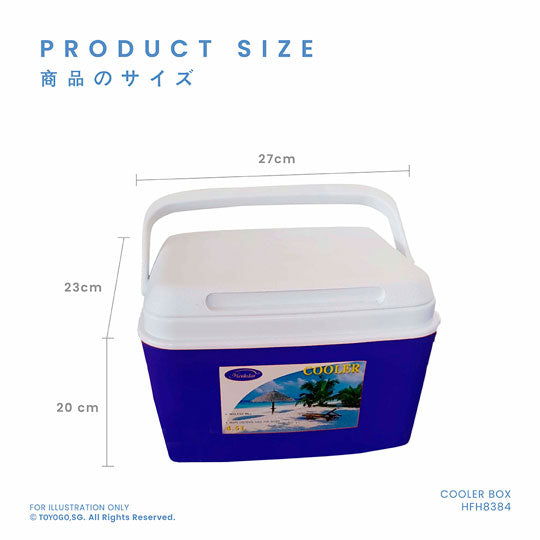 Portable Cooler Box 4.5L/1.2 Gallon - DX2159 (HFH8384) Insulated Lunch Bag for Picnics, Camping & Beach Outings