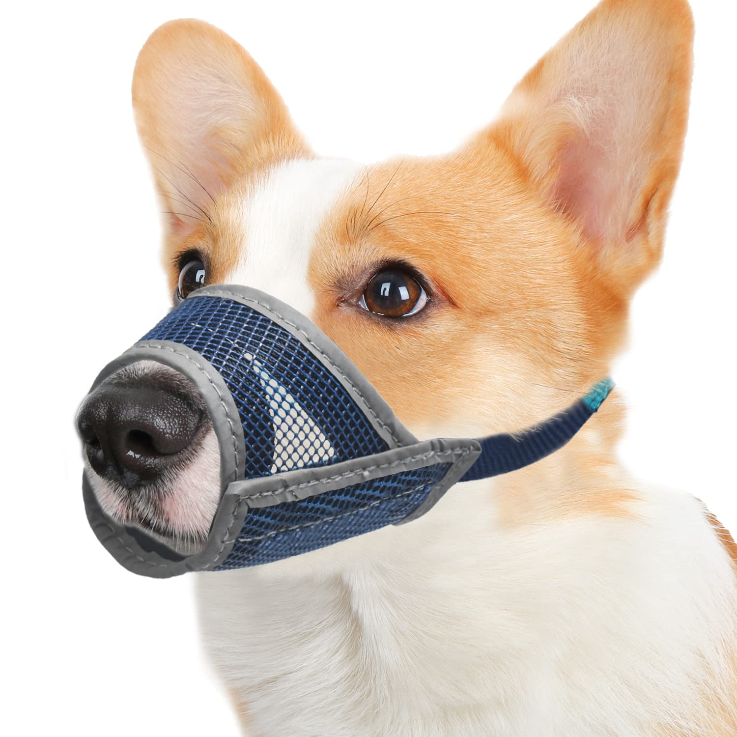 **Breathable Adjustable Mesh Dog Muzzle for Small, Medium & Large Dogs – Prevents Biting & Chewing, Allows Panting & Drinking – Ideal for Training, Grooming & Walks (Fits Corgi, Labrador & More)**
