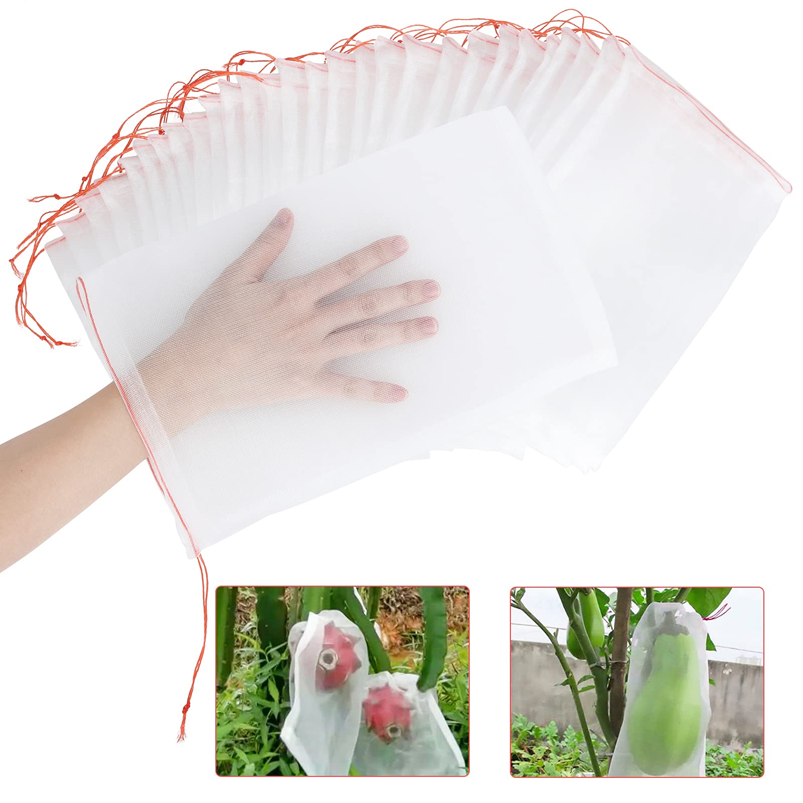Kikhope 50 Pcs 12